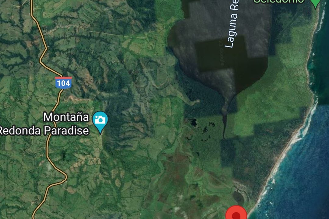 1687275659065