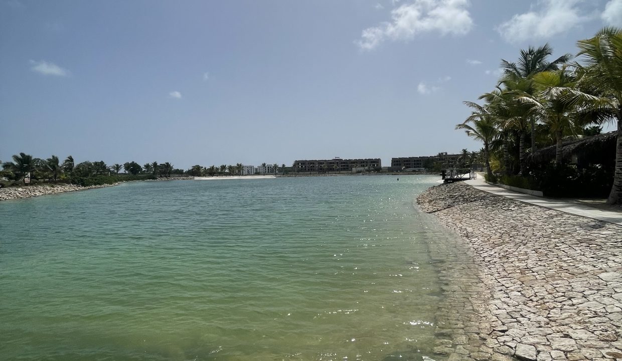 IMG_0584