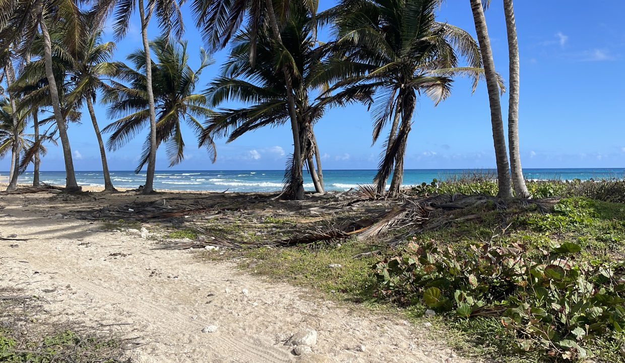 ZY-Photo-2024-01-19-00000329 1