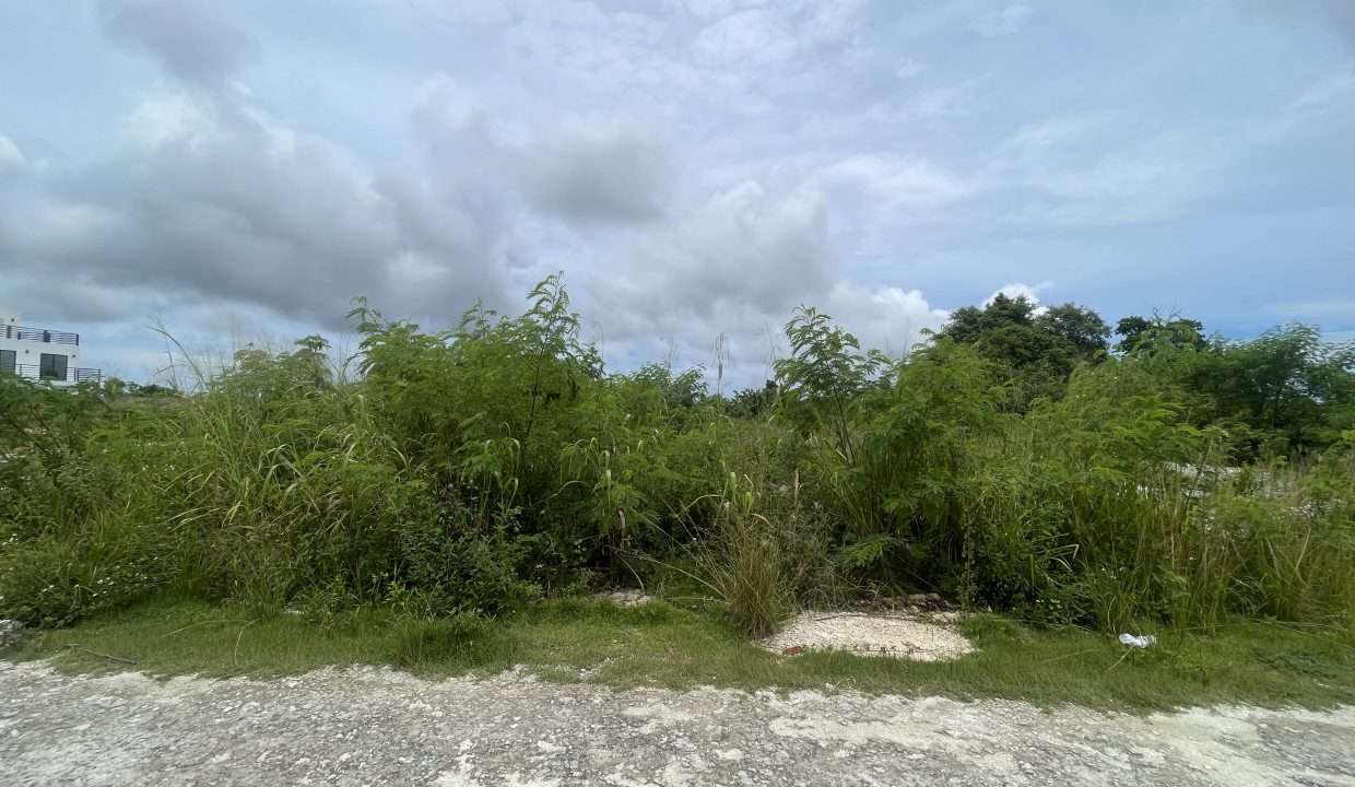 20240801_163948208_iOS